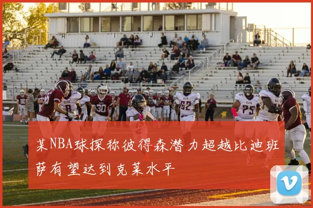 某NBA球探称彼得森潜力超越比迪班萨有望达到克莱水平