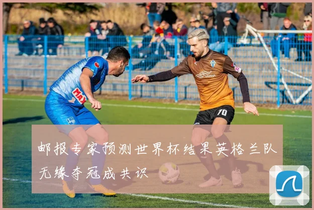 邮报专家预测世界杯结果英格兰队无缘夺冠成共识